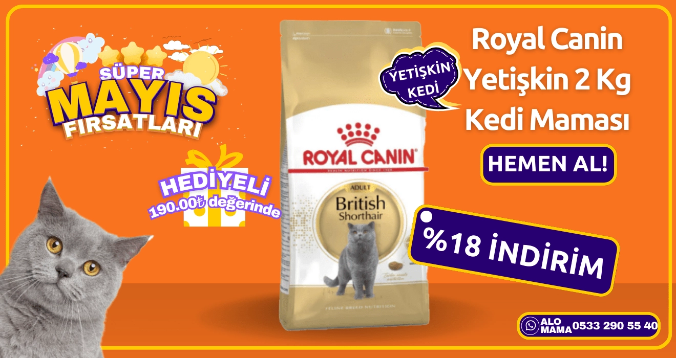 royal canin british 2 kg mayıs